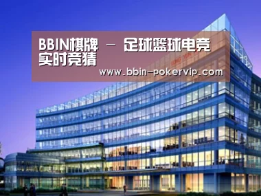 展示五