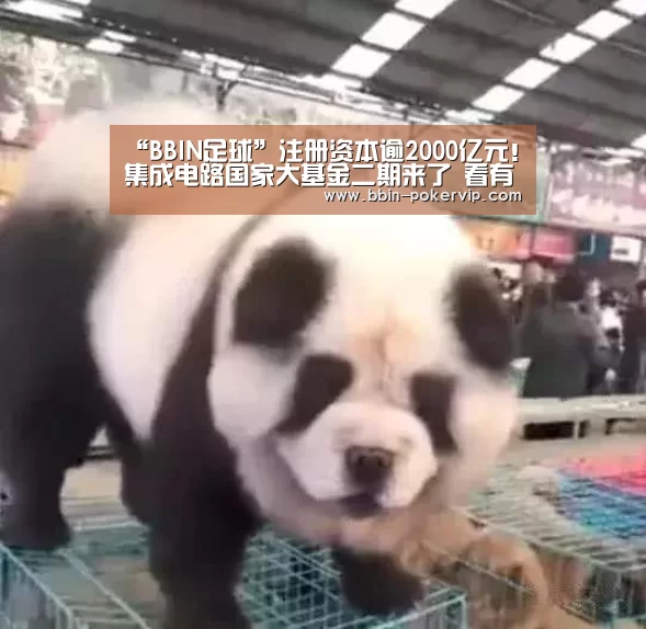 “BBIN足球”注册资本逾2000亿元!集成电路国家大基金二期来了 看有哪些受益股(图1) BBIN足球