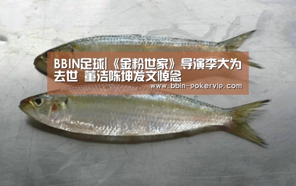 BBIN体育