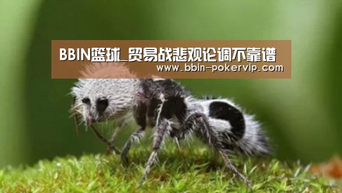 BBIN篮球_贸易战悲观论调不靠谱(图1) BBIN电竞